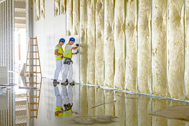 Best DIY Insulation Kits and Guidance in Collinsville, CT